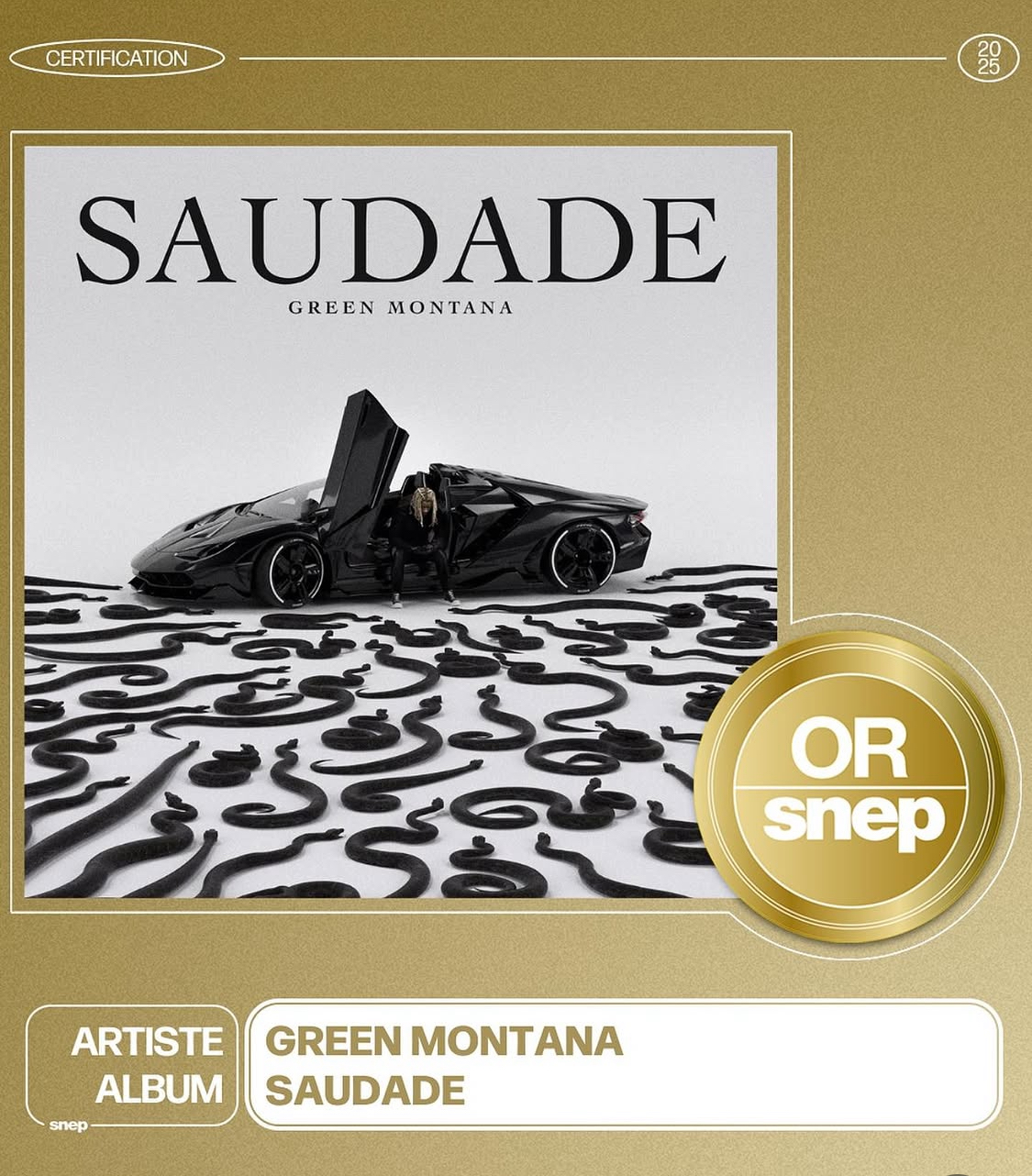 Disque d’or - Green Montana, album Saudade
